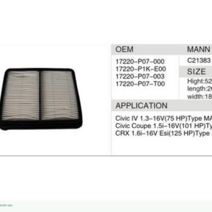 DAHEFILS Air Filter 17220-P07-000