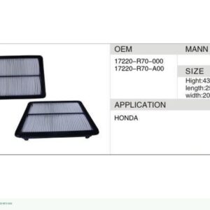 DAHEFILS Air Filter 17220-R70-000