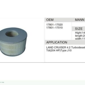 DAHEFILS Air Filter 17801-17020