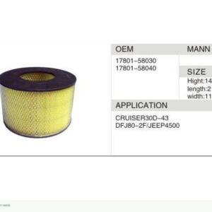 DAHEFILS Air Filter 17801-58030