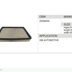 DAHEFILS Air Filter 25096932