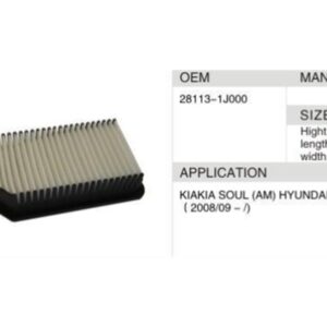 DAHEFILS Air Filter 28113-1J000