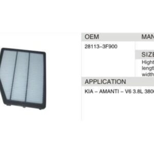 DAHEFILS Air Filter 28113-3F900