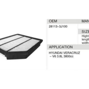 DAHEFILS Air Filter 28113-3J100