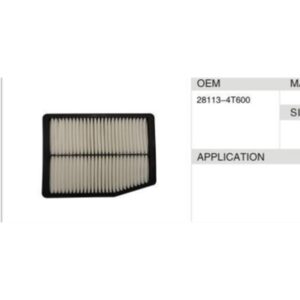 DAHEFILS Air Filter 28113-4T600
