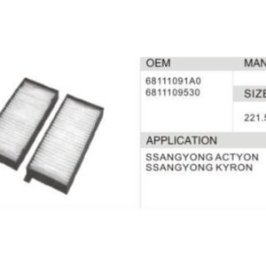 DAHEFILS Ssangyong Cabin Air Filter 68111091A0