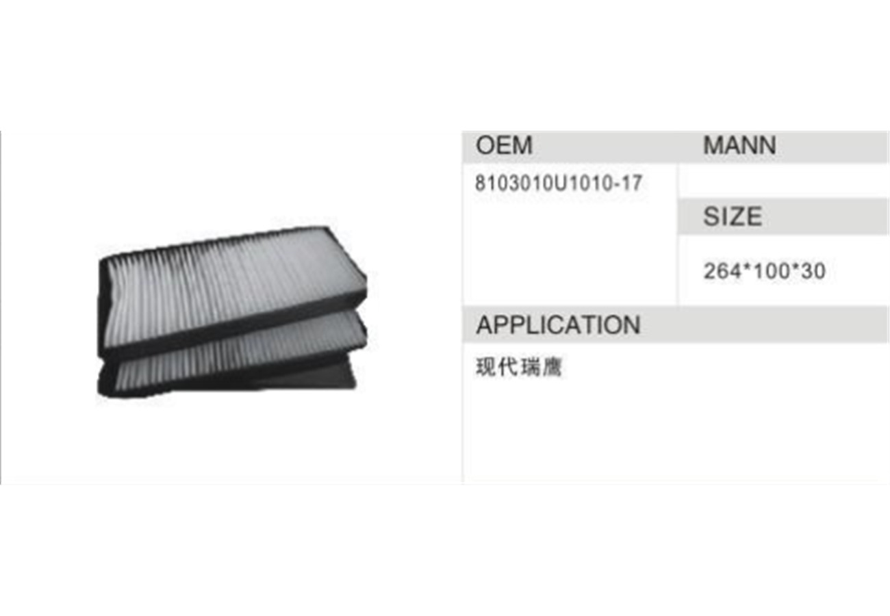DAHEFILS Hyundai Cabin Air Filter 8103010U1010-17