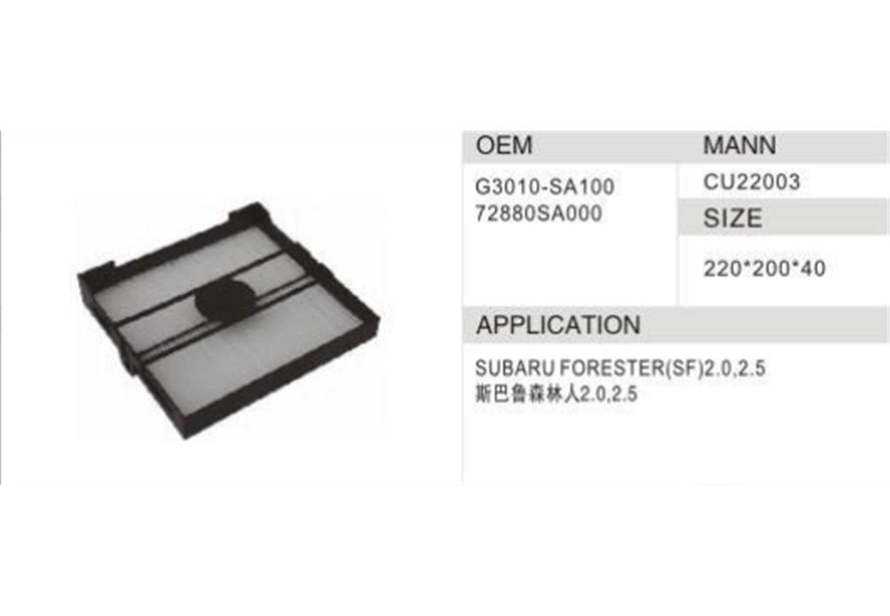 DAHEFILS Cabin Air Filter G3010-SA100